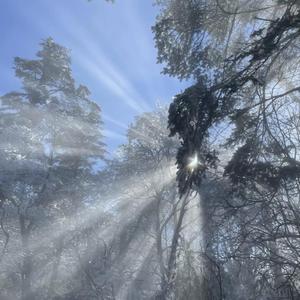 刘亦菲换脸性做爰A片
